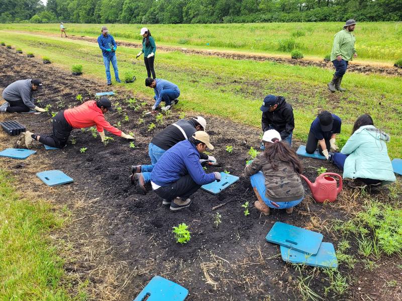 Illinois residents joined hands as volunteers of the global nonprofit organization Dr. Shri Nanasaheb Dharmadhikari Pratishthan for a tree planting event in collaboration with the U.S. Department of Agriculture Forest Service at Midewin National Tallgrass Prairie in Wilmington on June 2.