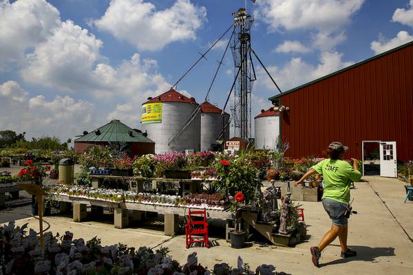 Siegel’s Cottonwood Farm in Crest Hill closes garden center