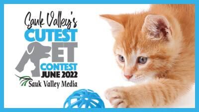 Vote for June’s Sauk Cutest Pet