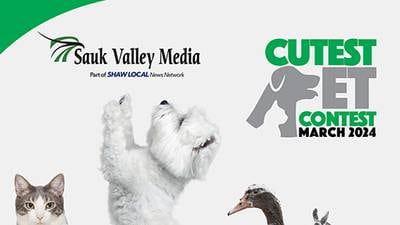 VOTE NOW! Sauk Valley March 2024 Cutest Pet Contest