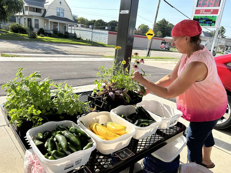 Beth Green of Earl-E Green Gardens of Polo, rearranges flowers at her booth at the Polo Farmer's Market on Thursday, Aug. 7, 2025. The market is held each Thursday, 3-6 p.m., weather permitting, at  the Pavilion located on the southeast corner of South Division and Buffalo Street.