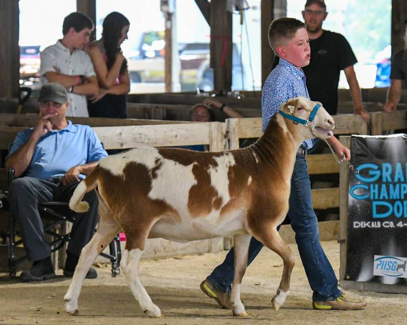 Westin Poynter, 11, of Maple Park walks his sheep around during a DeKalb County 4-H competition on Friday, Aug. 4, 2023 held at the Sandwich fairgrounds.