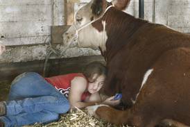 Photos: La Salle County 4-H Fair