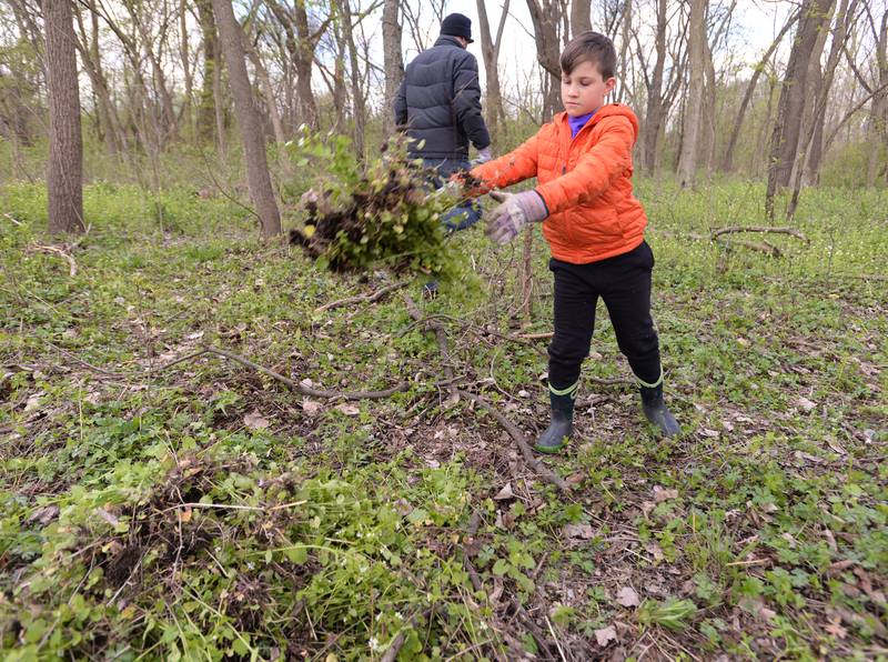 Ben Miller of Glen Ellyn volunteers to help in the Clean Up of Ackerman Woods as part of a team effort with Cub Scout Troop 158 and the Glen Ellyn Park District for Earth Day Saturday, April 20, 2024.