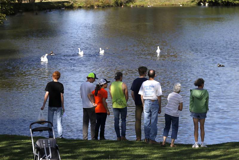 People look at the ducks int a pond during a stop on the McHenry County Farm Stroll on Sunday, Sept. 29, 2024, at Hephzibah Farms in Hebron. The farm stroll, a self-guided tour of McHenry County’s family farms, featured farm tours, demonstrations and products for sale at eleven farms.