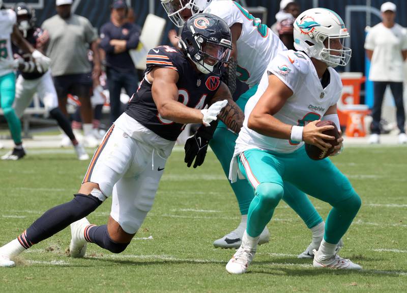 Chicago Bears defensive end Austin Booker sacks Miami Dolphins quarterback Zach Wilson Sunday, Aug. 10, 2025, during their preseason game against the Miami Dolphins at Soldier Field in Chicago.