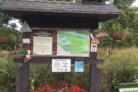 Party for the Preserves at Cook County forest preserves tomorrow