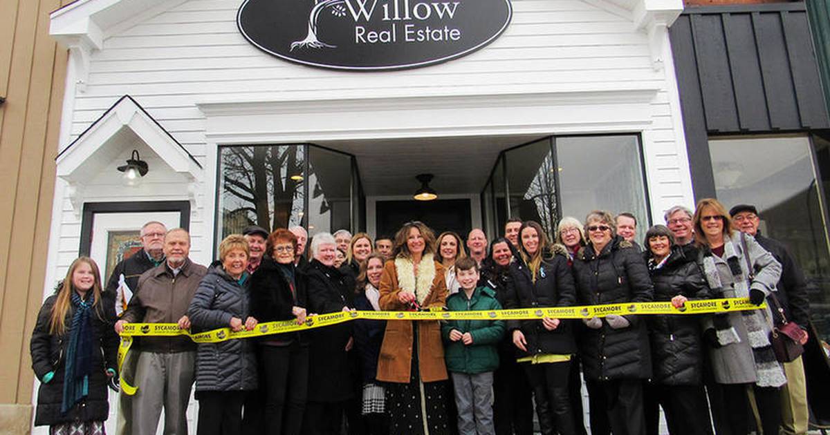 Willow Real State