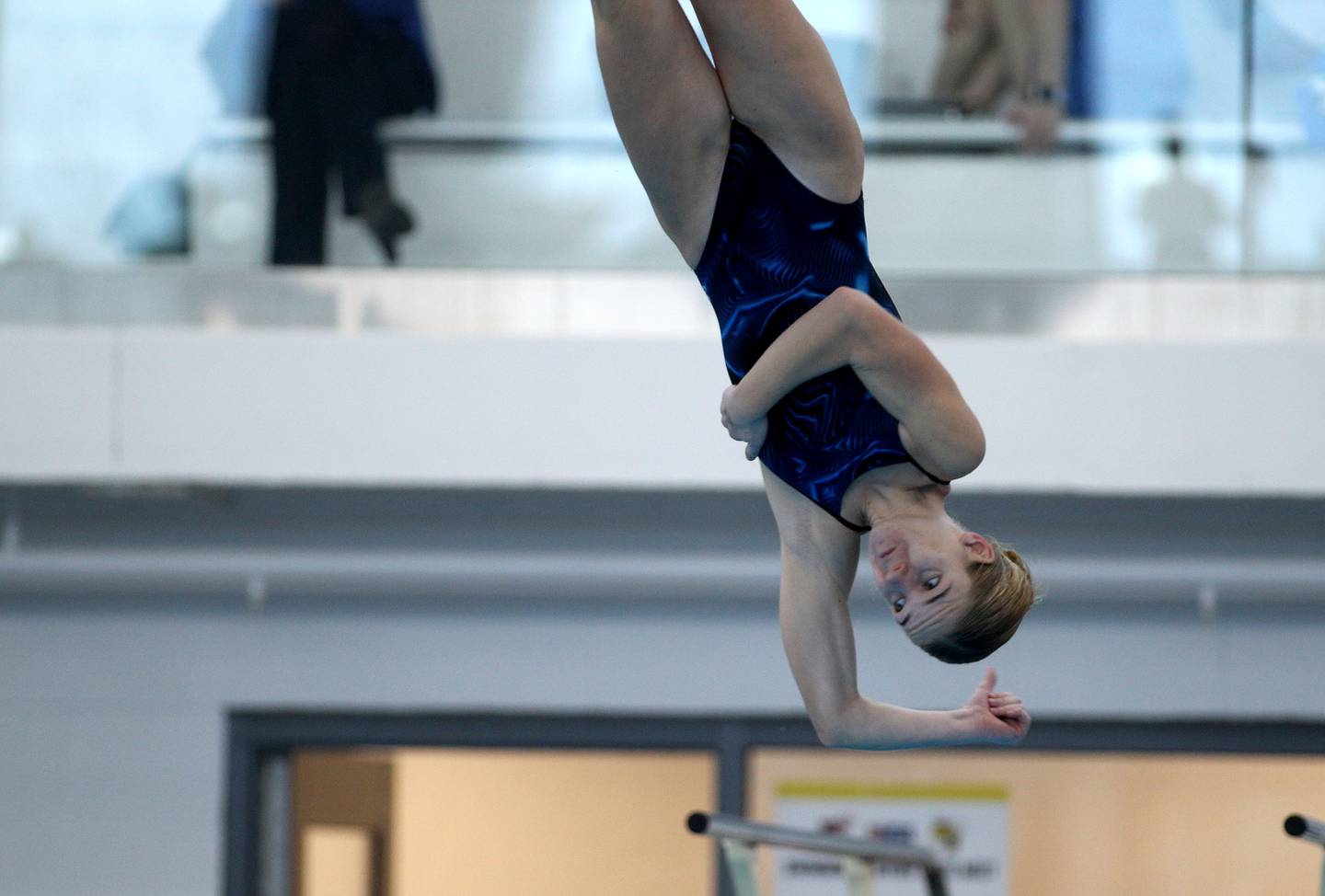 Cary-Grove's Maggie Bendell dives during the IHSA Girls State Swimming and Diving Championships at FMC Natatorium in Westmont on Saturday, Nov. 13, 2021.
