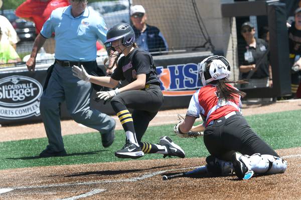 Softball: Forreston falls in 1A state semifinal