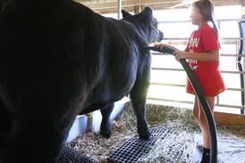 Marshall-Putnam Fair book now available online