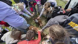 Photos: Sterling High School Farmapalooza 2026