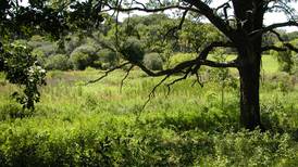 McHenry County Conservation District seeks applicants to fill board vacancy