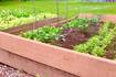 Down the Garden Path: Guest columnist series –Prepare for spring and scratch that gardening itch, part 2