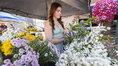 Transcript: Talk-Line with Steve Marco interviews Jennifer Lang of Discover Dixon on May events