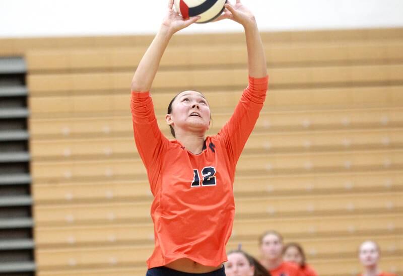 Oswego’s Ava Flanigan (12) sets the ball during a game Wednesday, Sept. 18, 2024 at St. Charles North.