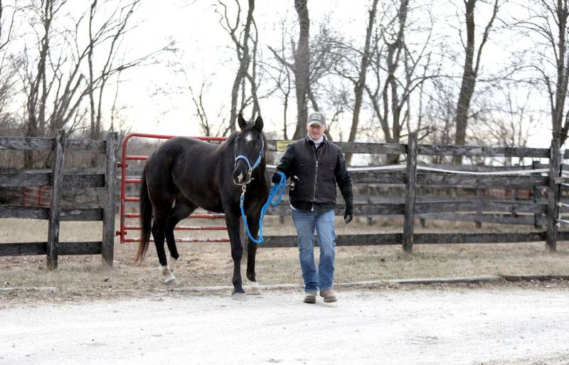 Horse Trainer Mitch Borenstein works with Prince at Casey’s Safe Haven in Maple Park.