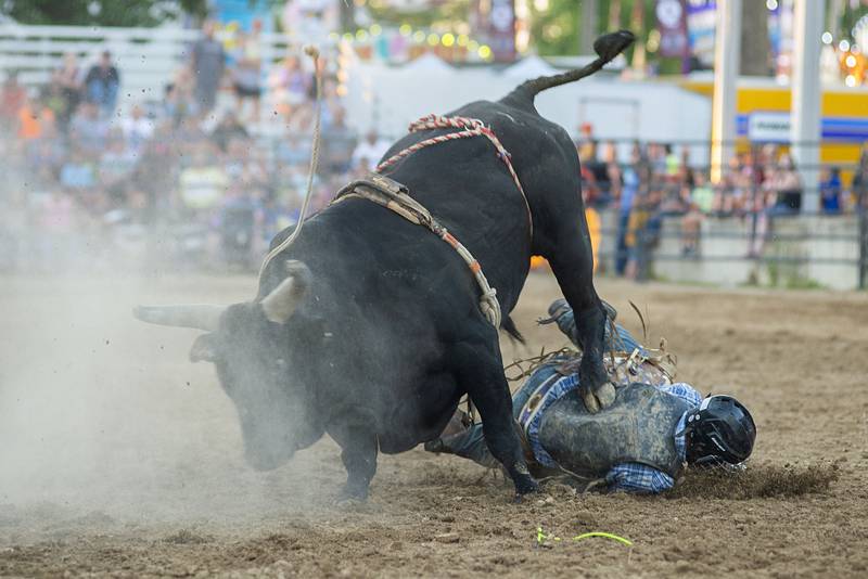 Braden Markell  gets stomped on by his bull August 16, 2022 during action at the Whiteside County fair. The Next Level Pro Bull Riding tour made a stop Tuesday in Morrison. Markell's appeared shaken but made it out of the ring on his own.