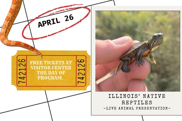 Learn about native reptiles April 26 at Starved Rock