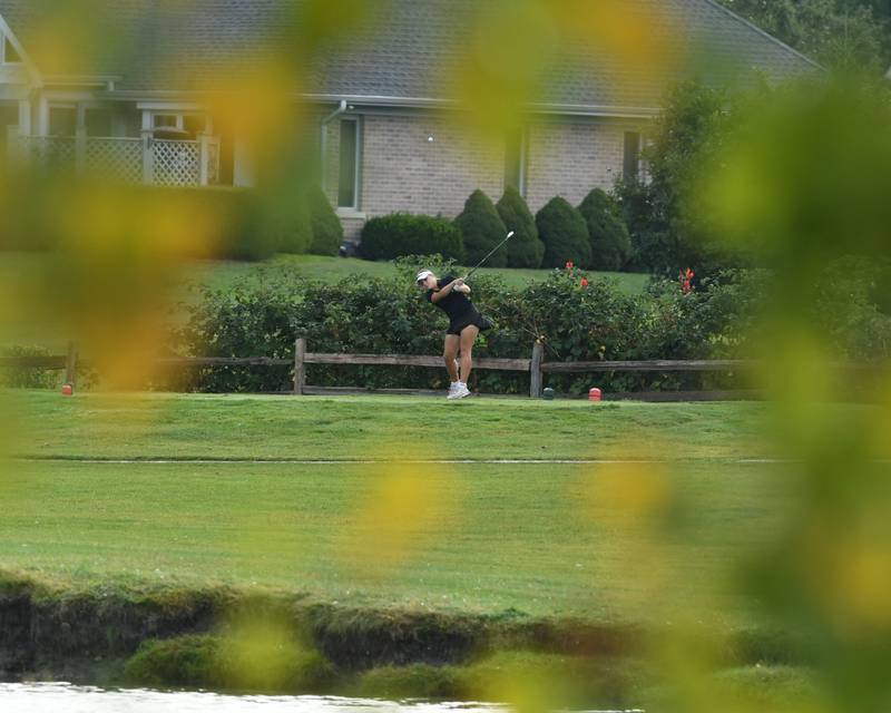 Kiley Sanborn of Plainfield North tees off during the Southwest Prairie conference meet on Wednesday Sept. 24, 2025, held at Blackberry Oaks Golf course in Bristal.
