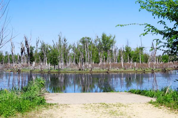 Cool sights and sounds in a Mississippi River pool