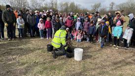 Kane Forest District to celebrate Earth Day by holding Tree Planting Extravaganza