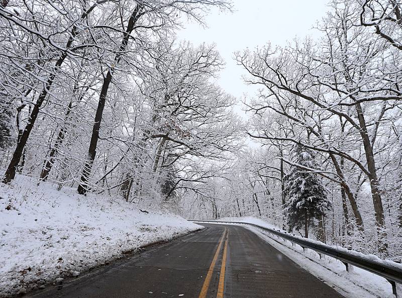 Snow covers trees along Illinois Route 71 on Wednesday, Jan. 25, 2023 in Starved Rock State Park.