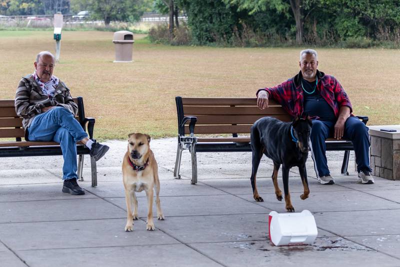 Visitors of the Hammel Woods Dog Park enjoy a brisk fall afternoon on Oct. 15, 2025.