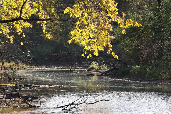 DeCarbon Dialogue series set for March 10 in DeKalb