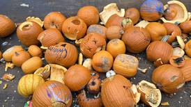 Down the Garden Path: Don’t trash your leftover pumpkins – smash ‘em!