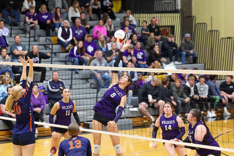 Wilmington's Makenzie Rodriguez hits the ball during the Wildcats' loss in three sets, 25-16, 22-25, 17-25, to Pontiac in the IHSA Class 2A Herscher Regional championship on Thursday, Oct. 30, 2025.