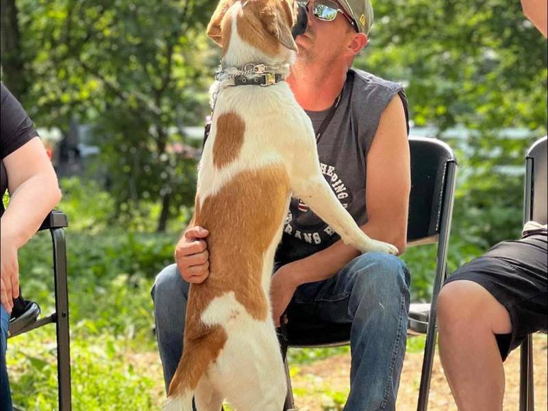 Thank You, Veterans: Dwight veteran finds healing in nature