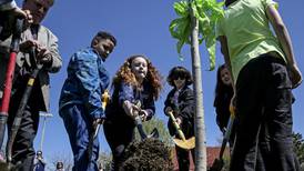 Joliet holds Arbor Day event Friday