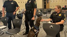 Sycamore police therapy dog Dooley helped schools more than 500 times since 2022
