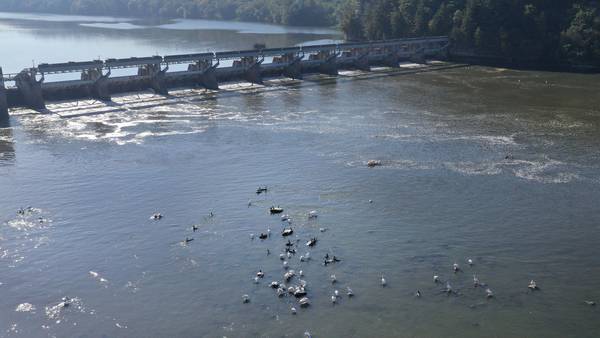 Photos: Drought pushes Illinois River to near historic low in La Salle