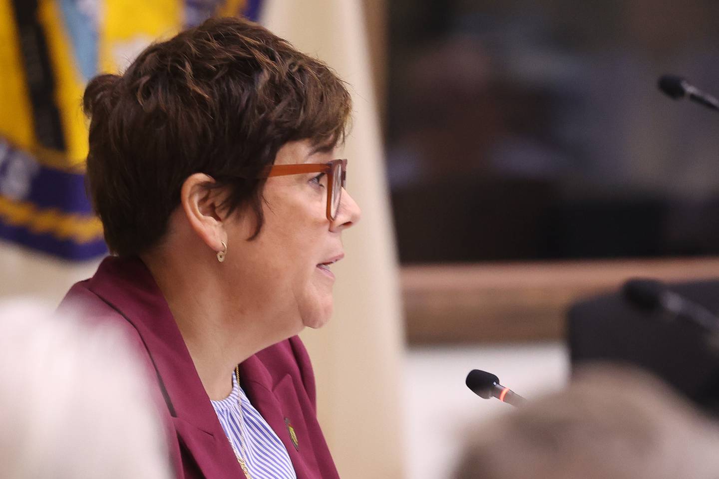 Will County Executive Director Jennifer Bertino-Tarrant speaks at the Will County Board Meeting on Monday, Dec. 2, 2024 in Joliet.