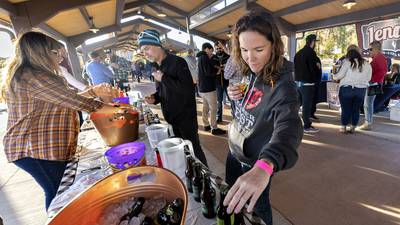 Can’t-miss fall beer festivals in northern Illinois in 2025