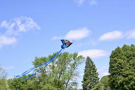 Photos: 5th annual Kites in Flight fill the sky at Peck Park in Ottawa