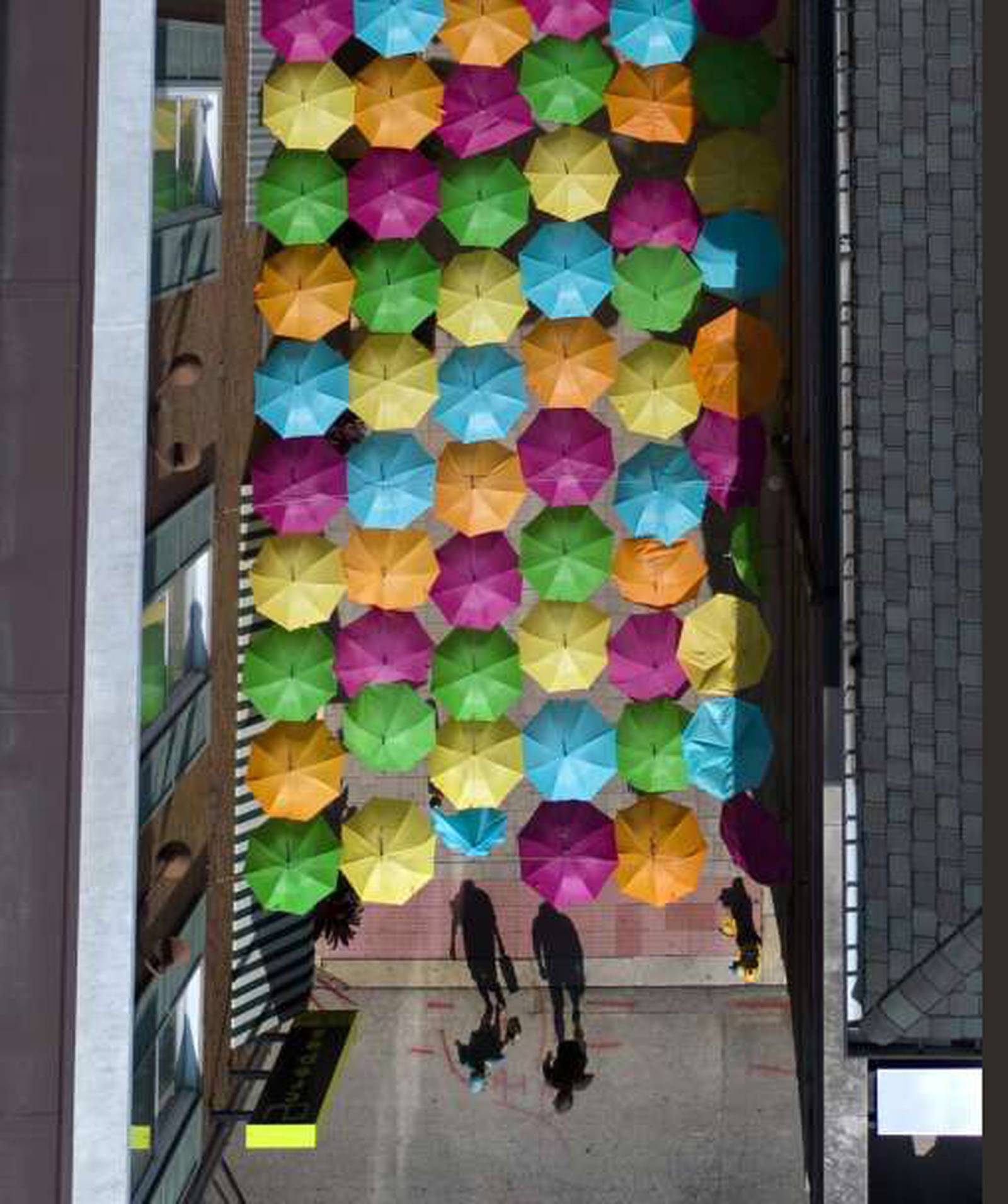 ‘It’s so Instagrammable’ Umbrella display returns to downtown Elmhurst