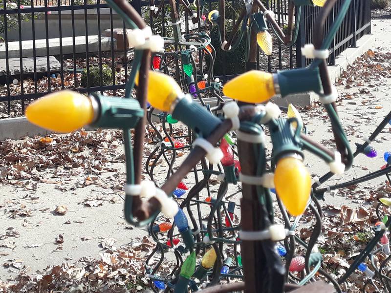 While downtown Streator was full of trick or treaters for Halloween, a group of volunteers had another holiday on their mind, Christmas, as they began efforts to start installation of Light Up Streator on Saturday, Oct. 29, in City Park.