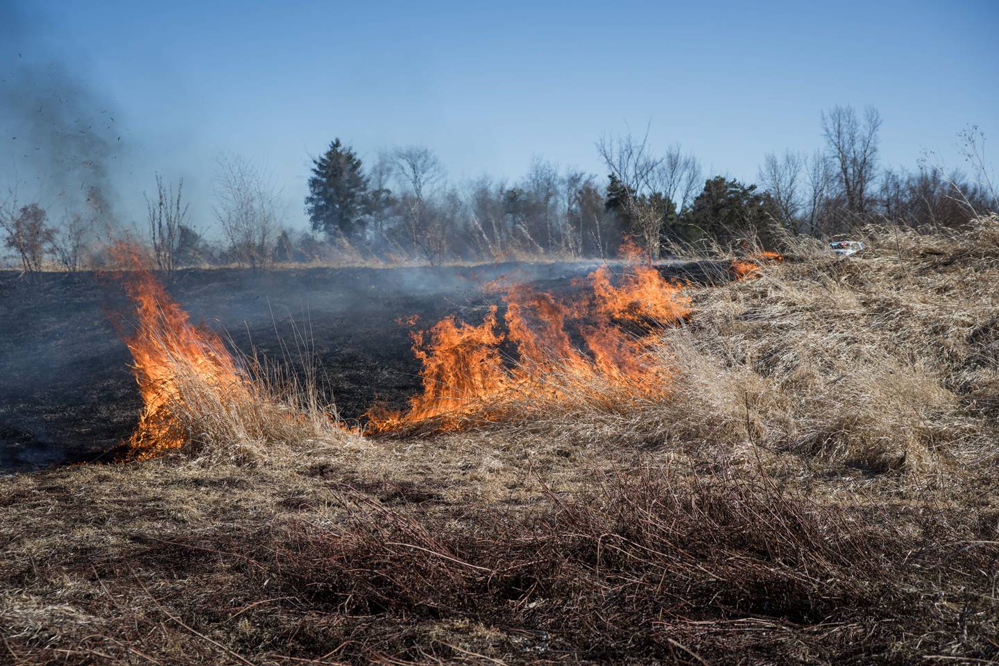 Nearly 30 acres burned in a brush fire near Marengo Monday, March 9, 2026.