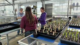 Seed swap Saturday: Gardening community grew online – then blossomed in real life