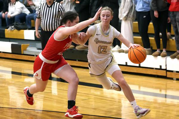 Girls basketball: 2025-26 All-Interstate 8 Conference team announced