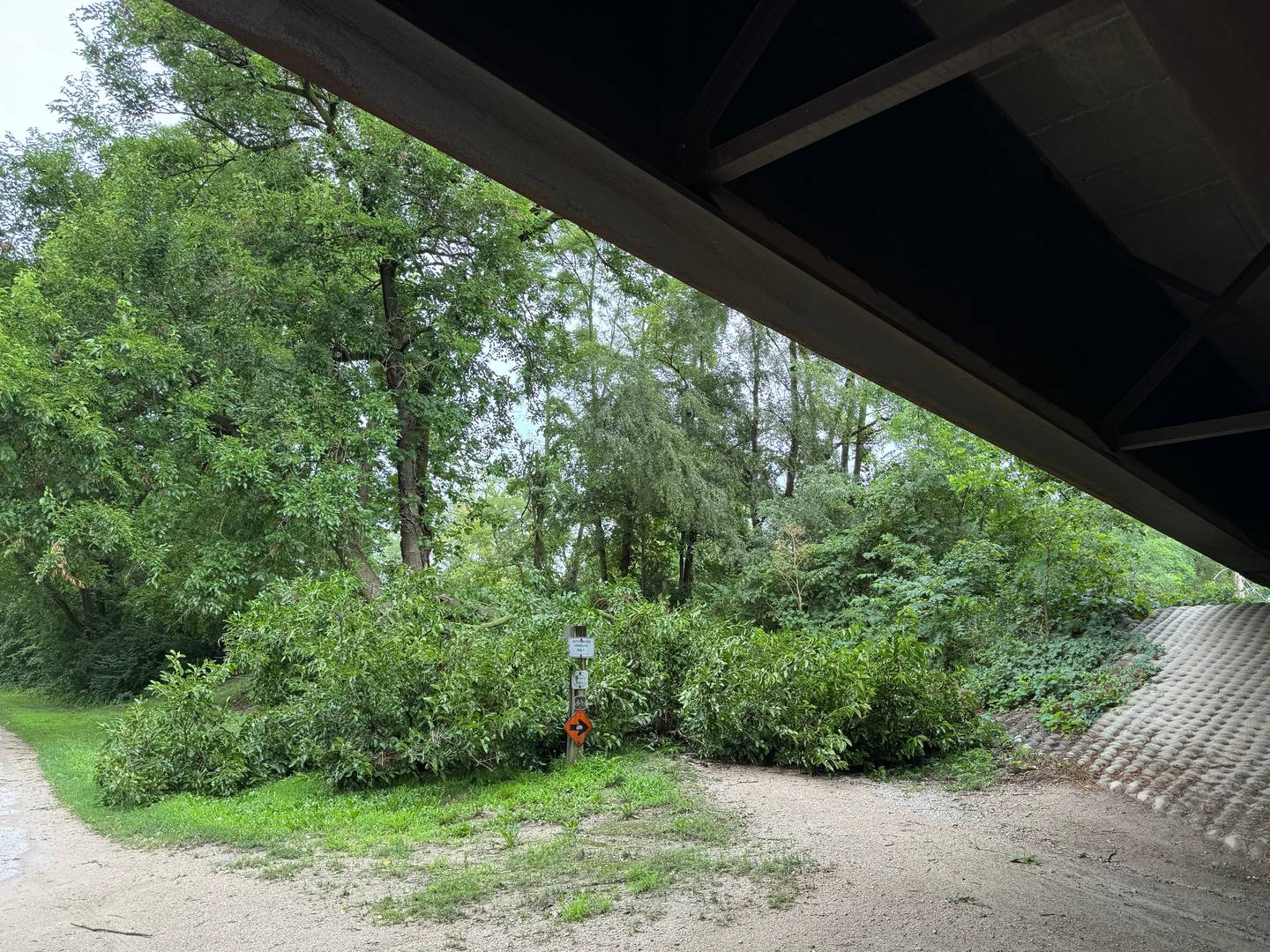 A tree branch blocks the path to the I&M Canal north of Stratton Park in Morris after a round of severe storms Monday night.