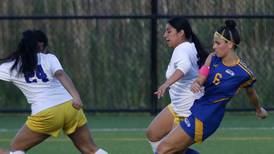 Johnsburg tops Cristo Rey St. Martin, Richmond-Burton falls to Willows Academy in Class 1A sectional semis