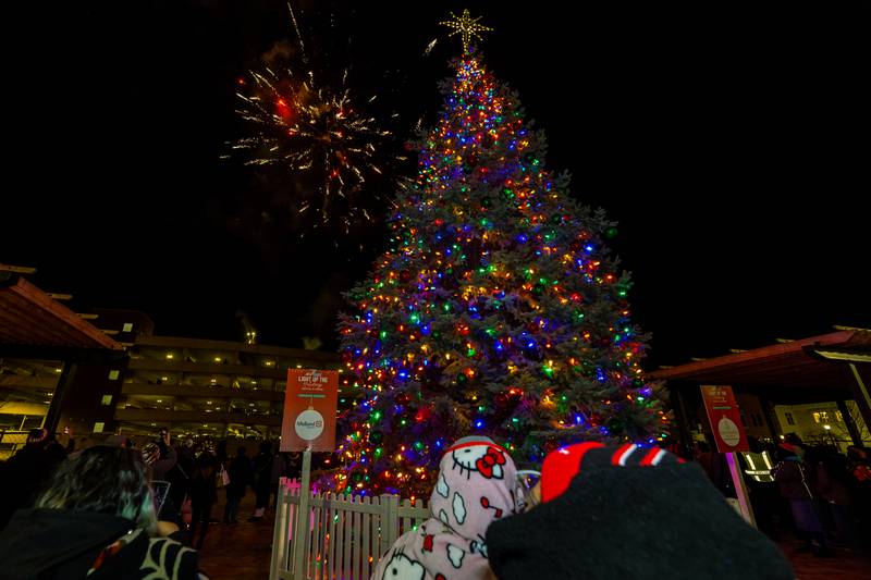 Spectators enjoy a fireworks display during the Light Up the Holidays Tree Lighting Ceremony at Joliet’s City Square on Nov. 28, 2025.