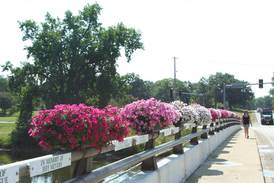Montgomery’s Summer Floral Display Contest now underway; deadline for nominations June 11