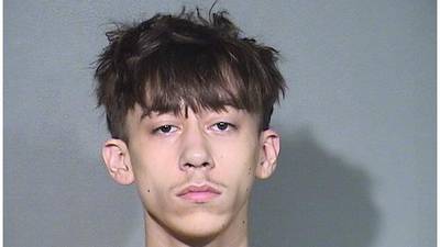 Crystal Lake man, 18, accused of carrying loaded, defaced gun while selling drugs