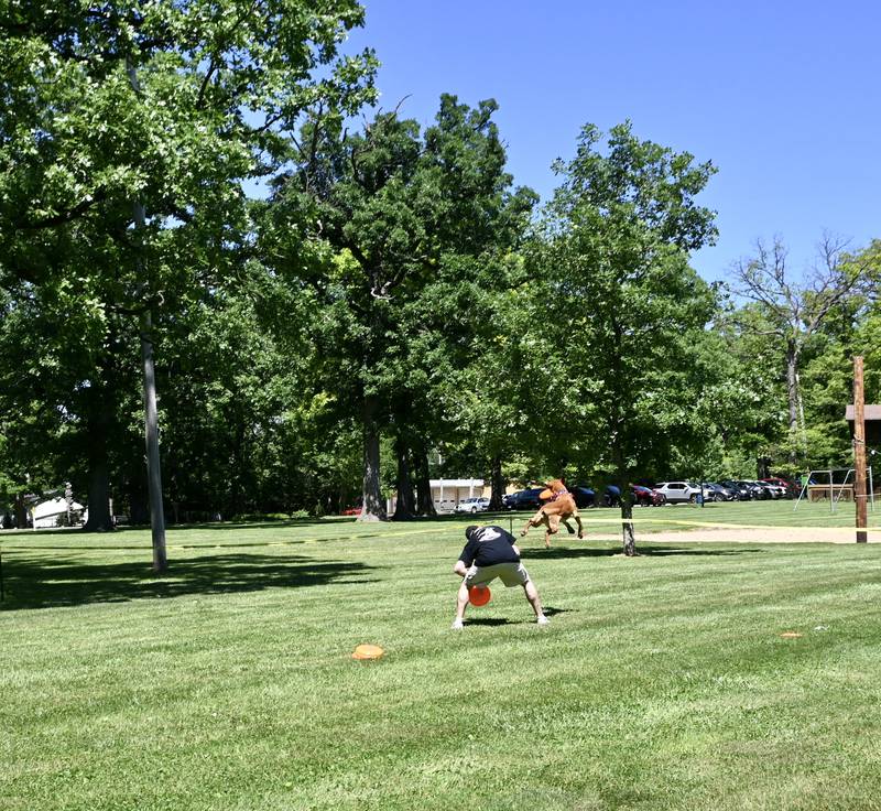 Zeke the Wonderdog part of America’s Best Frisbee Dogs shows, jumps over his trainer to catch a frisbee during Saturday's Bark in the Park event.
