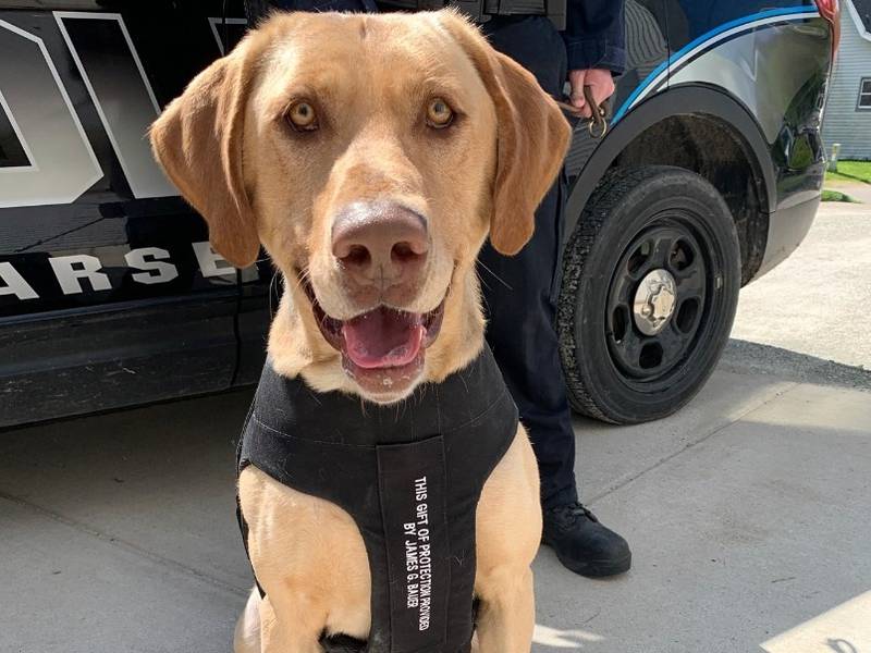 K-9 officer Tucker retired from the Marseilles Police Department because of health issues.